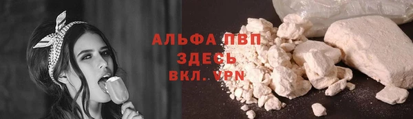 сатива Армянск