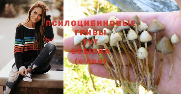 скорость Арсеньев
