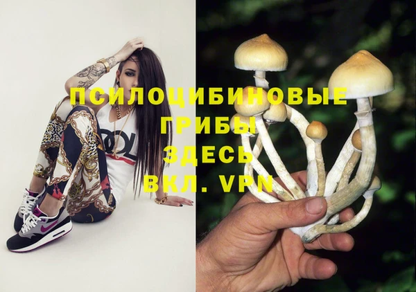сатива Армянск