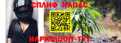 ГАЛЛЮЦИНОГЕННЫЕ ГРИБЫ Тверь