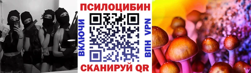 купить закладку Курган Галлюциногенные грибы мицелий
