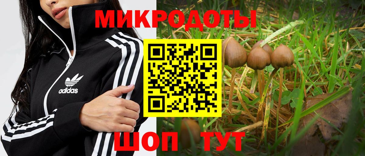 Галлюциногенные грибы ЛСД  Вход с VPN  Курган  Псилоцибиновые грибы прущие грибы 