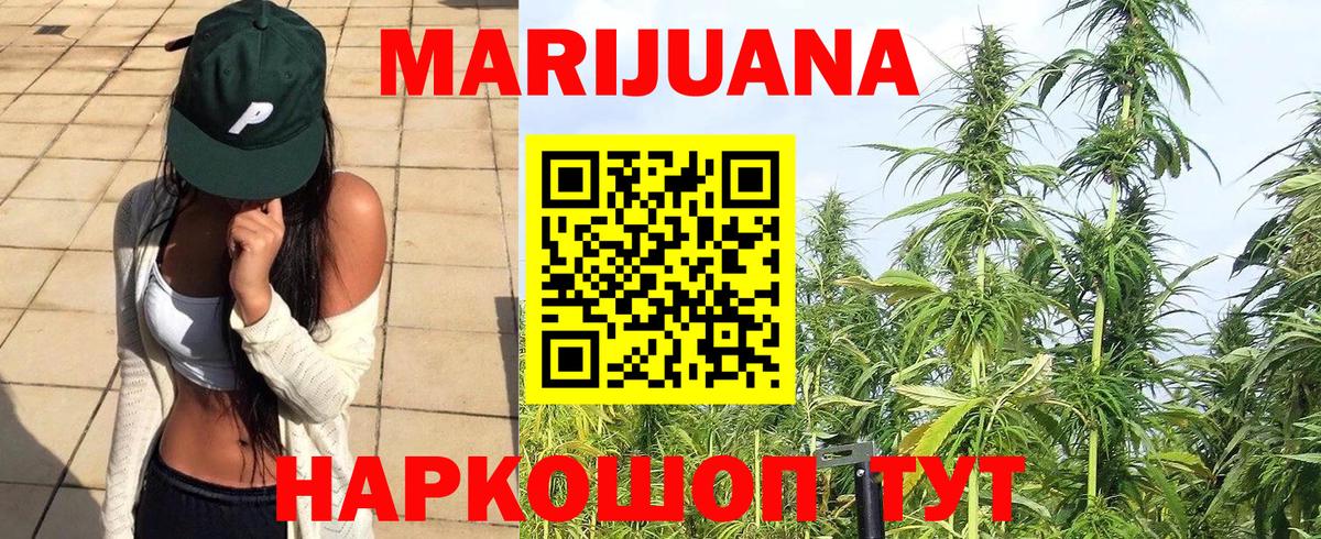 Бошки Шишки семена  Вход с VPN  Бошки Шишки семена  Курган  Бошки марихуана AK-47 